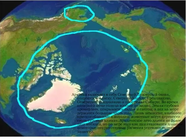 Арктика включает в себя Северный Ледовитый океан, полуостров Аляску, Северную Канаду, Гренландию,