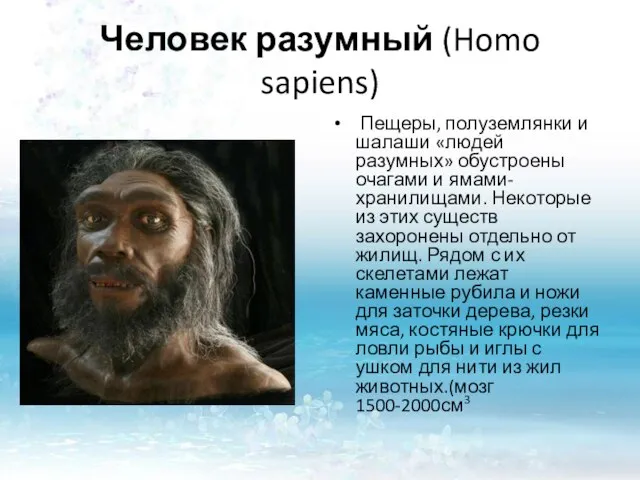 Человек разумный (Homo sapiens) Пещеры, полуземлянки и шалаши «людей разумных» обустроены очагами