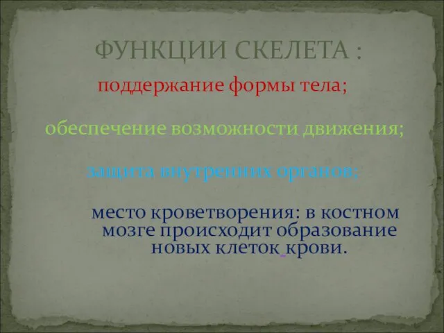 ФУНКЦИИ СКЕЛЕТА : поддержание формы тела; обеспечение возможности движения; защита внутренних органов;