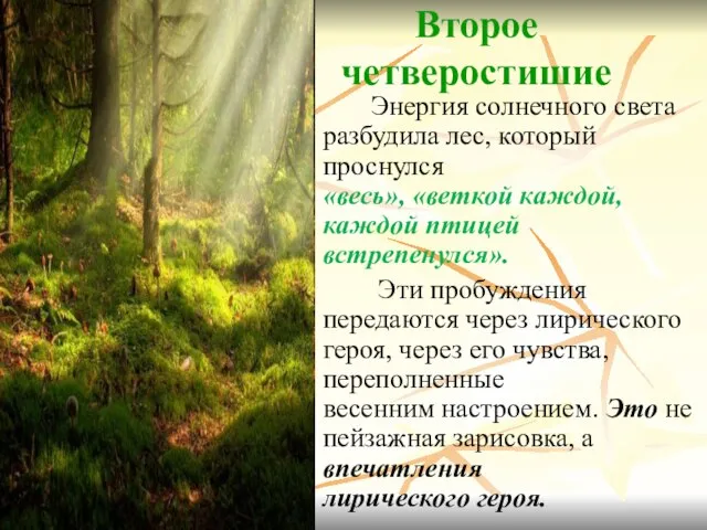 Второе четверостишие Энергия солнечного света разбудила лес, который проснулся «весь», «веткой каждой,