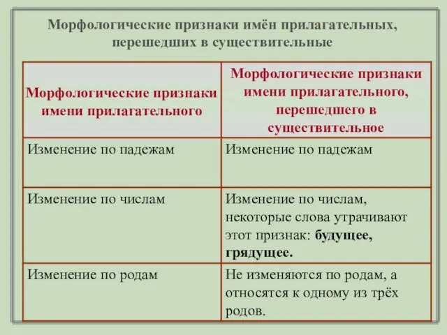 Морфологические признаки имён прилагательных, перешедших в существительные Морфологические признаки имени прилагательного, перешедшего