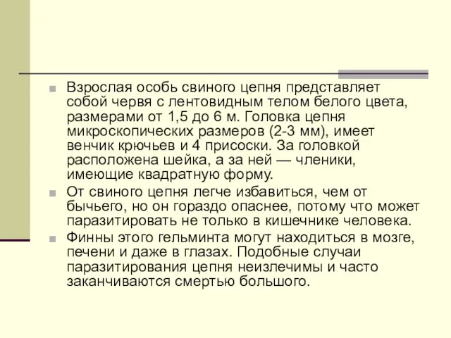 Взрослая особь свиного цепня представляет собой червя с лентовидным телом белого цвета,