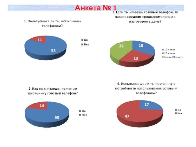 Анкета № 1