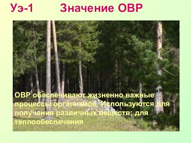 Уэ-1 Значение ОВР ОВР обеспечивают жизненно важные процессы организмов. Используются для получения различных веществ; для теплообеспечения