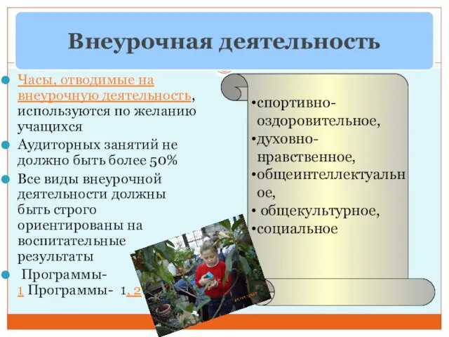 Часы, отводимые на внеурочную деятельность, используются по желанию учащихся Аудиторных занятий не