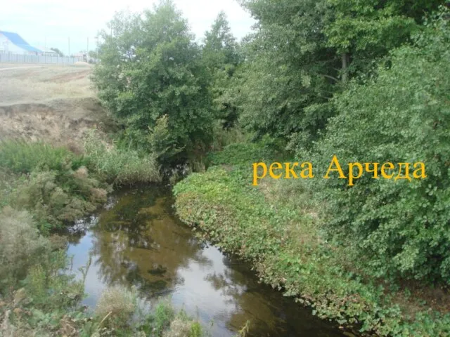 река Арчеда
