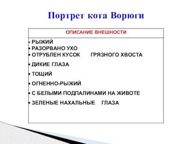 Портрет кота Ворюги