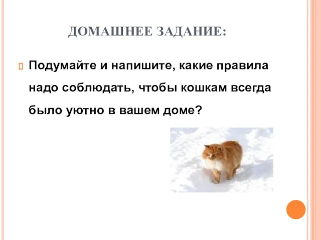 ДОМАШНЕЕ ЗАДАНИЕ: Подумайте и напишите, какие правила надо соблюдать, чтобы кошкам всегда