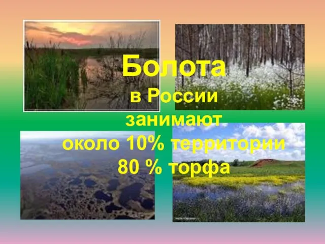 Болота в России занимают около 10% территории 80 % торфа