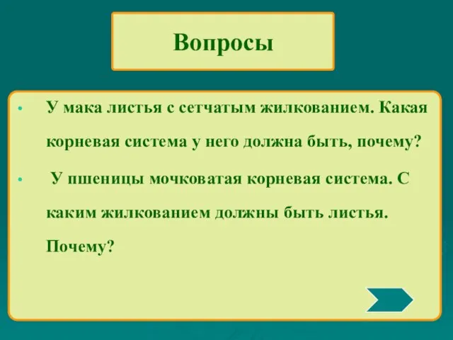 Вопросы У мака листья с сетчатым жилкованием. Какая корневая система у него