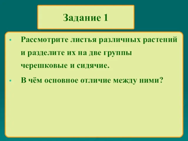 Задание 1 Рассмотрите листья различных растений и разделите их на две группы