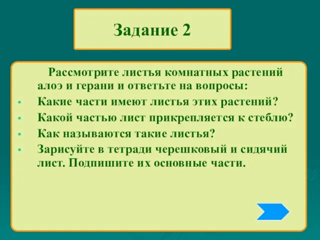 Задание 2 Рассмотрите листья комнатных растений алоэ и герани и ответьте на