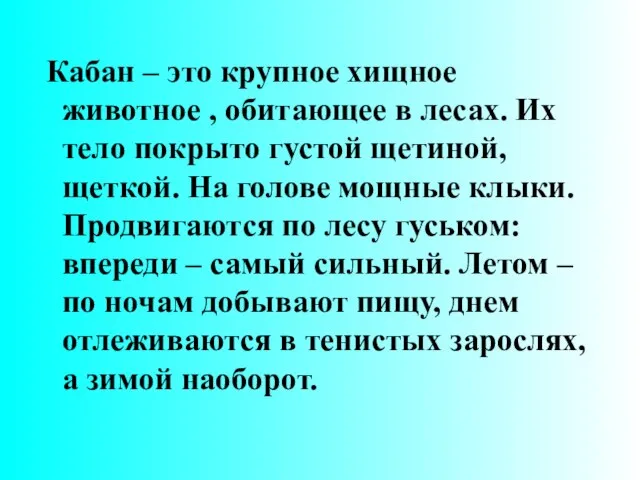 Кабан – это крупное хищное животное , обитающее в лесах. Их тело