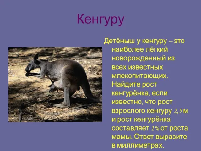 Кенгуру Детёныш у кенгуру – это наиболее лёгкий новорожденный из всех известных