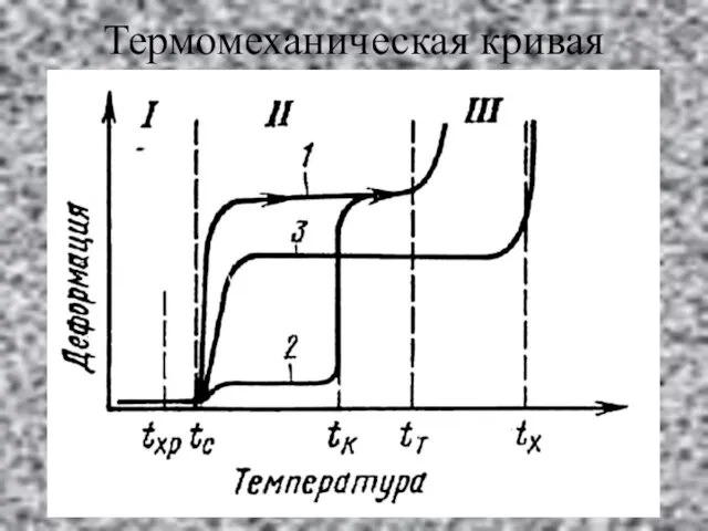 Термомеханическая кривая