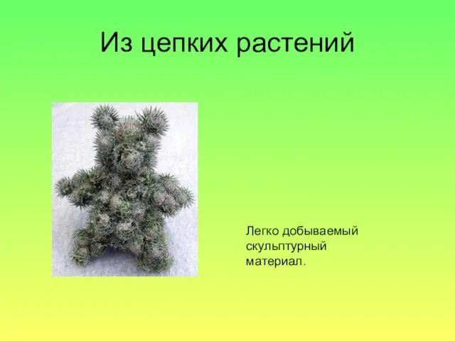 Из цепких растений Легко добываемый скульптурный материал.