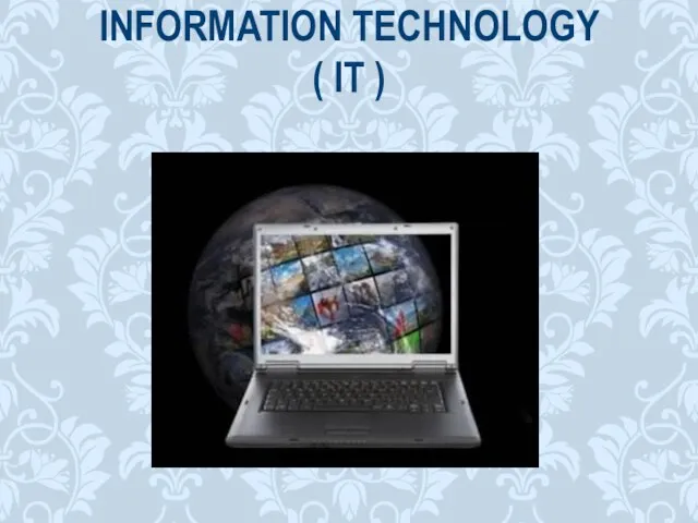 INFORMATION TECHNOLOGY ( IT )