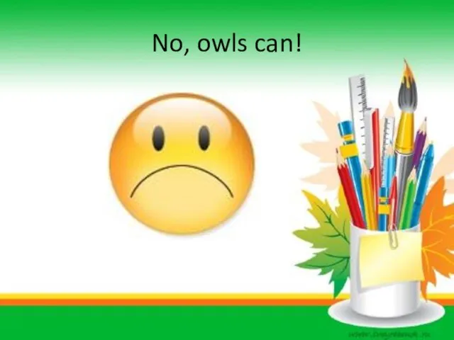 No, owls can!