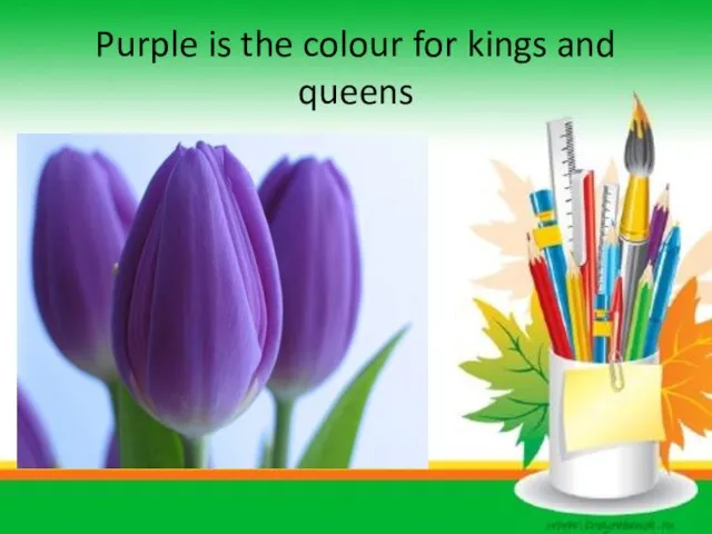 Purple is the colour for kings and queens