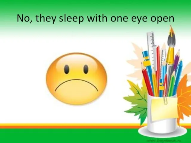 No, they sleep with one eye open