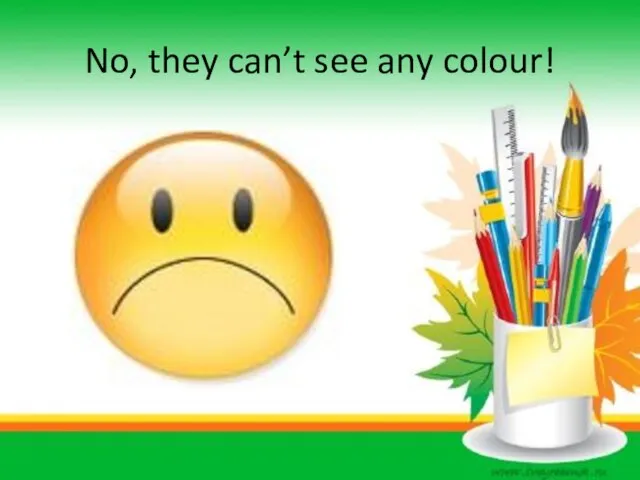 No, they can’t see any colour!