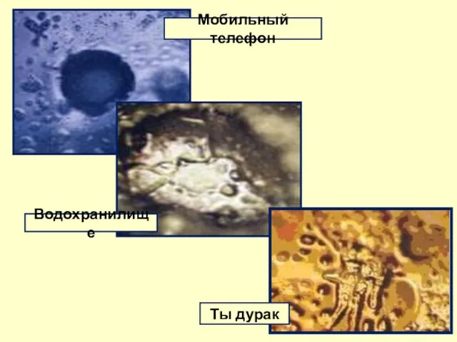 Мобильный телефон Водохранилище Ты дурак