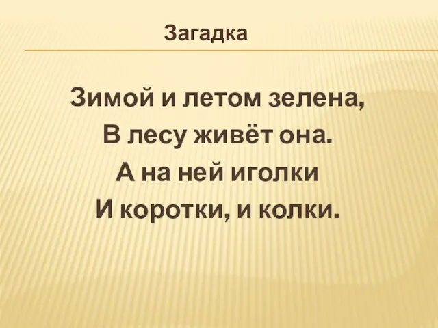 Зимой и летом зелена, В лесу живёт она. А на ней иголки