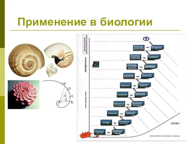 Применение в биологии