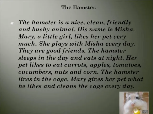 The Hamster. The hamster is a nice, clean, friendly and bushy animal.