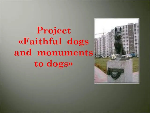 Project «Faithful dogs and monuments to dogs»