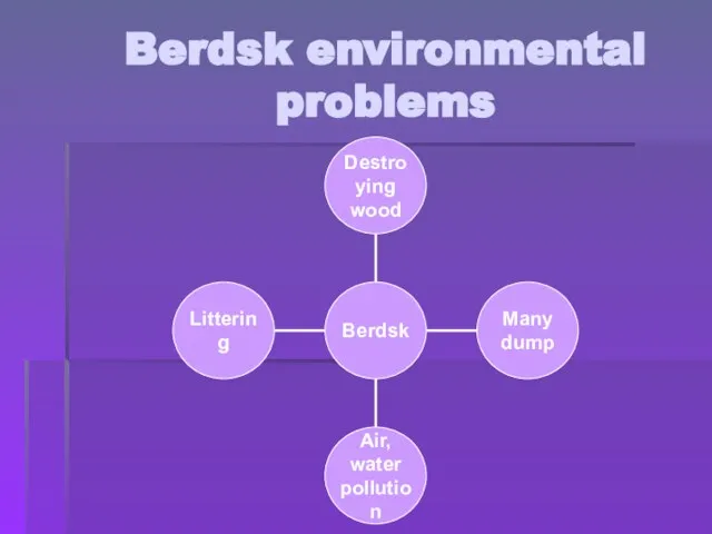 Berdsk environmental problems