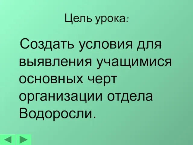 Цель урока: Создать условия для выявления учащимися основных черт организации отдела Водоросли.