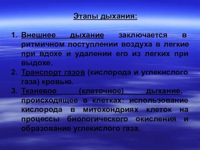 Этапы дыхания: Внешнее дыхание заключается в ритмичном поступлении воздуха в легкие при