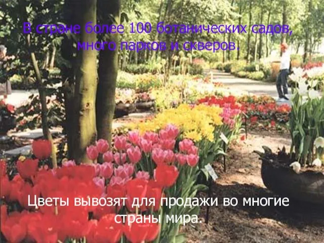 Писаревская Т.П. Баган В стране более 100 ботанических садов, много парков и