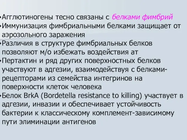 Агглютиногены тесно связаны с белками фимбрий Иммунизация фимбриальными белками защищает от аэрозольного