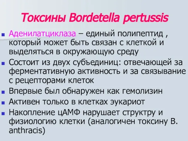 Токсины Bordetella pertussis Аденилатциклаза – единый полипептид , который может быть связан