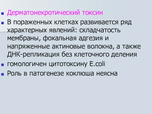 Дерматонекротический токсин В пораженных клетках развивается ряд характерных явлений: складчатость мембраны, фокальная