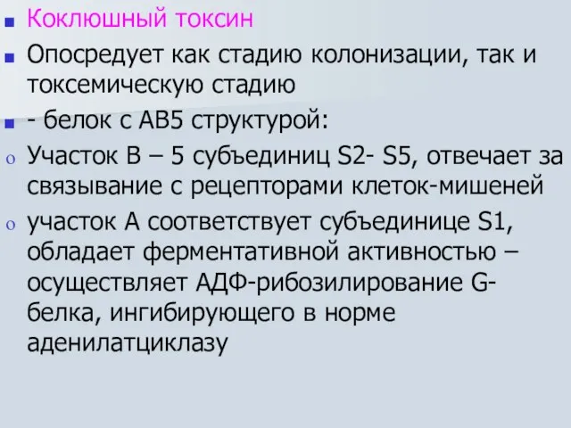 Коклюшный токсин Опосредует как стадию колонизации, так и токсемическую стадию - белок