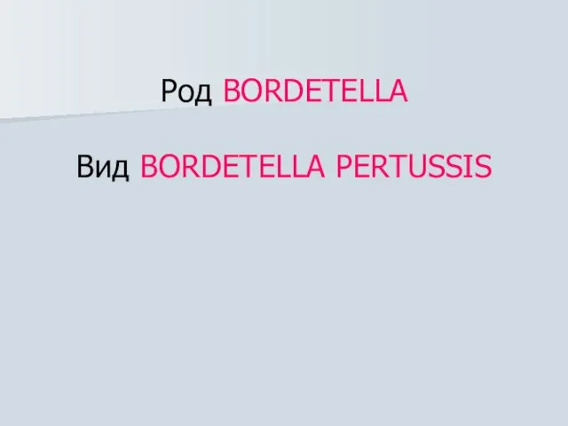 Род BORDETELLA Вид BORDETELLA PERTUSSIS