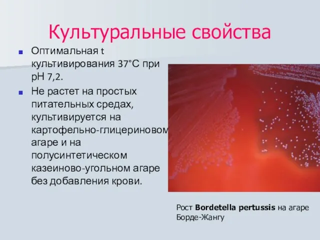 Культуральные свойства Оптимальная t культивирования 37°С при рН 7,2. Не растет на