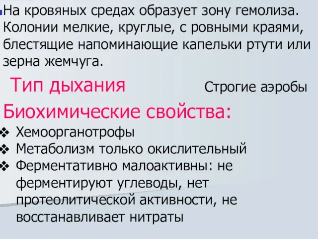 На кровяных средах образует зону гемолиза. Колонии мелкие, круглые, с ровными краями,