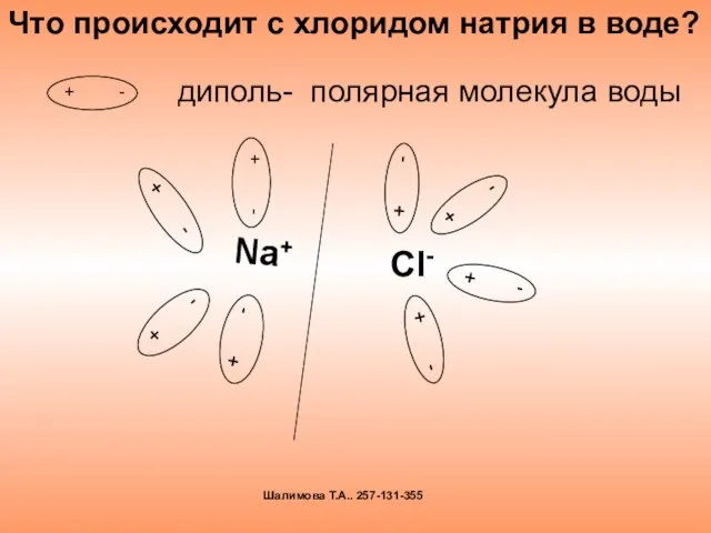 диполь- полярная молекула воды Что происходит с хлоридом натрия в воде? Шалимова Т.А.. 257-131-355