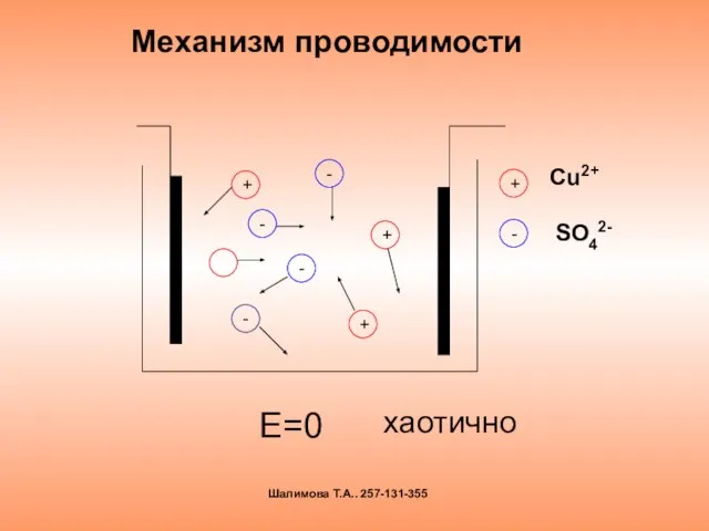 Механизм проводимости Е=0 + + + - - - - хаотично Шалимова Т.А.. 257-131-355