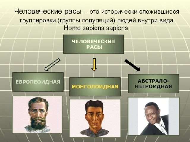 Человеческие расы – это исторически сложившиеся группировки (группы популяций) людей внутри вида