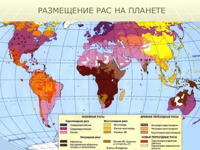 РАЗМЕЩЕНИЕ РАС НА ПЛАНЕТЕ