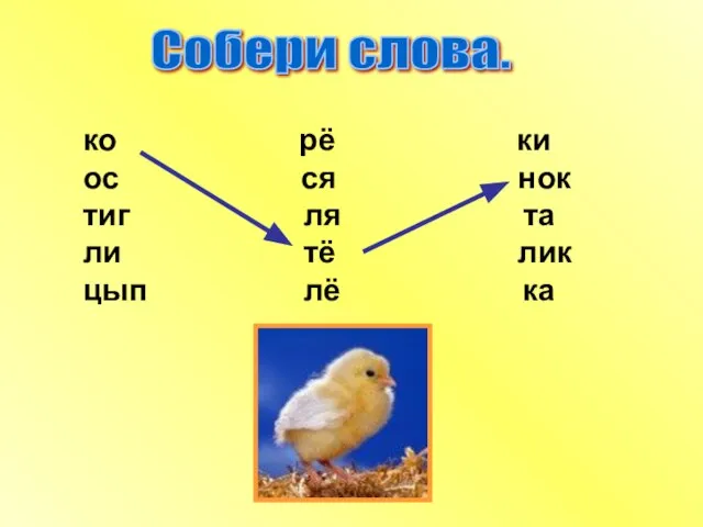 Собери слова. ко рё ки ос ся нок тиг ля та ли