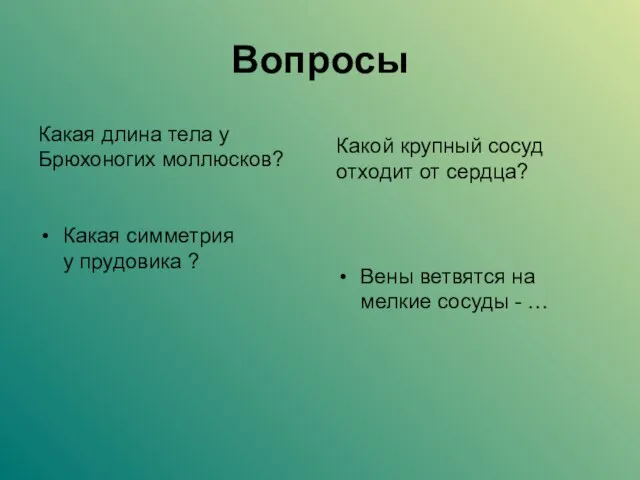 Вопросы Какая длина тела у Брюхоногих моллюсков? Какая симметрия у прудовика ?