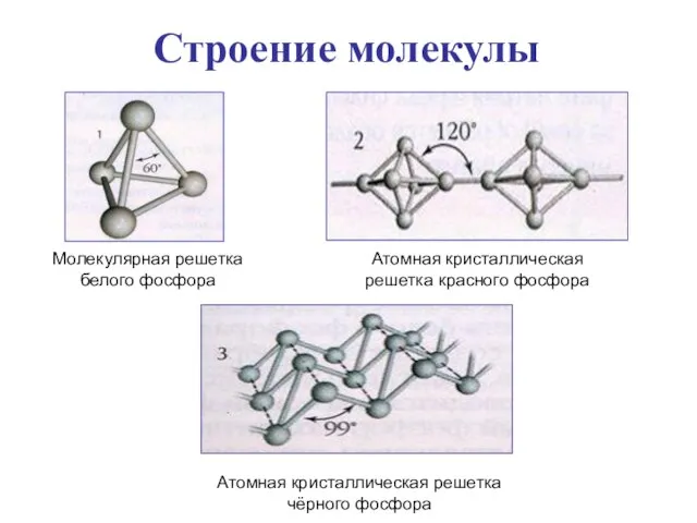 Строение молекулы Молекулярная решетка белого фосфора Атомная кристаллическая решетка красного фосфора Атомная кристаллическая решетка чёрного фосфора