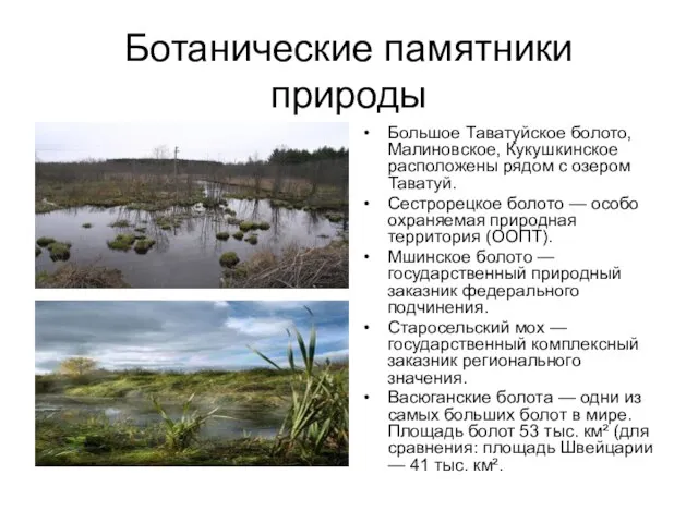 Ботанические памятники природы Большое Таватуйское болото, Малиновское, Кукушкинское расположены рядом с озером