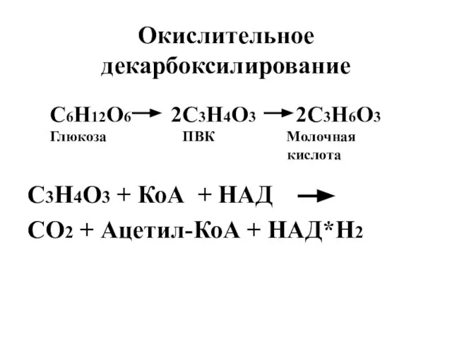 Окислительное декарбоксилирование С3Н4О3 + КоА + НАД СО2 + Ацетил-КоА + НАД*Н2